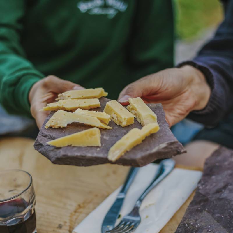 Cheese Tasting at Home